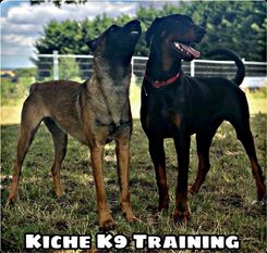 Thaiboxing Comanche Thaiboxing Comanche