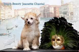 Touch Beauty Jeanette Chantal Touch Beauty Jeanette Chantal