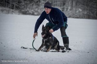 Nyko z Berounské bašty Nyko z Berounské bašty
