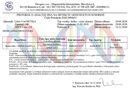 Seina-NAD.pdf