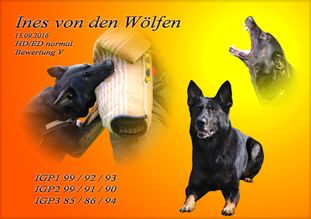 Ines von den Wölfen Ines von den Wölfen