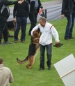 Bent Bechmann