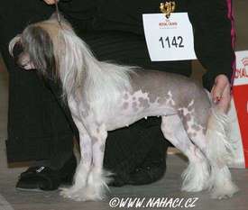 Special Edition See Me Be Flashy Special Edition See Me Be Flashy