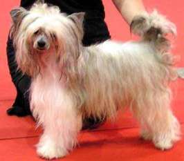 Beautifull Boy Du Doux Mystere Beautifull Boy Du Doux Mystere