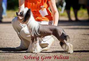Solveig Goro Yulissa Solveig Goro Yulissa