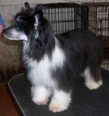 Bordercreek Ain't I Wicked With Beaulion Bordercreek Ain't I Wicked With Beaulion