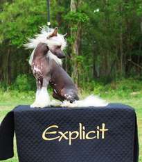 Explicit Time Of My Life At Cabaret Explicit Time Of My Life At Cabaret