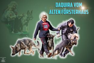 Daquira vom Alten Försterhaus Daquira vom Alten Försterhaus