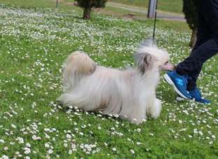 Arabelle Onyx Jewel: I'm A Superstar Arabelle Onyx Jewel: I'm A Superstar
