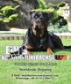 Elvis von der Mühlbachstrasse