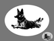 MP GSD Championships of Poland IPO-FH