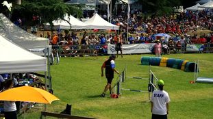 Bulica NHSB 2861666 Bulica NHSB 2861666