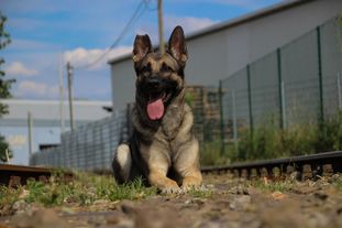 Mila von MaKeRa Mila von MaKeRa