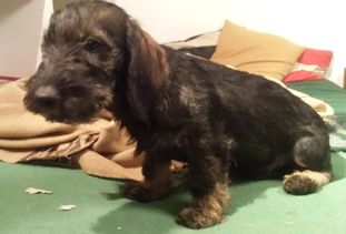 Jodzge vom Klötzle Blei Jodzge vom Klötzle Blei