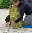 Petra Scheubeck