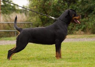 Wenna von Ivan Hause Wenna von Ivan Hause