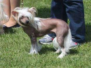 Evita Pokerowy Zywot Evita Pokerowy Zywot