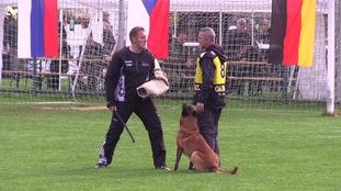 Eddie Speedy Maribor Eddie Speedy Maribor