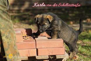 Karla von der Schillerstraße Karla von der Schillerstraße