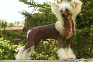 Habiba Strictly Secret Habiba Strictly Secret