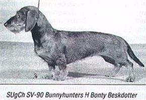 Bunnyhunters H Bonty Beskdotter Bunnyhunters H Bonty Beskdotter