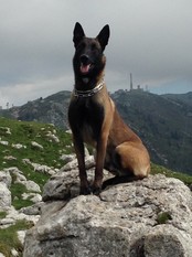 Komet von Nacheron Komet von Nacheron