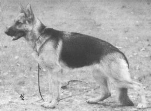 Anka von der Bertenau Anka von der Bertenau