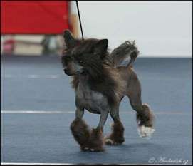 Touch Beauty Be My Dancing Queen Touch Beauty Be My Dancing Queen