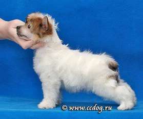 Lovemagic Elat Lovemagic Elat