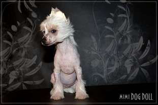 Mimi Dog Doll Gum Tree Mimi Dog Doll Gum Tree