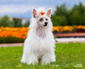 Lovemagic Look Fantastic Lovemagic Look Fantastic