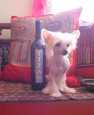 Akc Mythic Micro La Vita E Bella Akc Mythic Micro La Vita E Bella