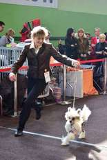 Be My Dog's Tie 'em Up Be My Dog's Tie 'em Up
