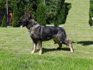 Exa Wolkar Exa Wolkar