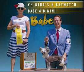 Nina's K Baywatch Babe Nina's K Baywatch Babe