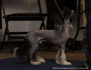Mooncrest Fast Ferrari Mooncrest Fast Ferrari