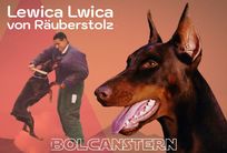 dog image background