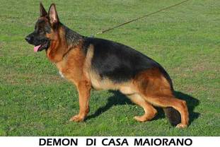 Demon di Casa Maiorano Demon di Casa Maiorano