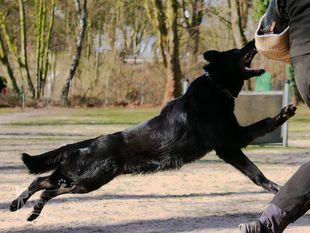 Irak vom Teufelshang Irak vom Teufelshang