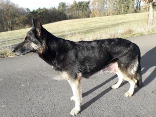Fina von Marientahler Schlößchen Fina von Marientahler Schlößchen