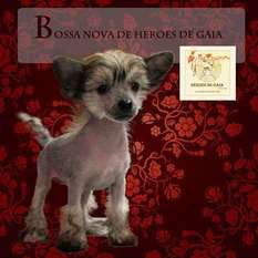 Bossa Nova De Heroes De Gaia Bossa Nova De Heroes De Gaia
