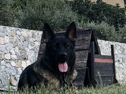 Gipsy di villa Cucinotta