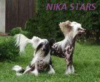 Irgen Gold Nikolas Keyge Irgen Gold Nikolas Keyge