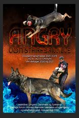 Angry von Starker Wille Angry von Starker Wille