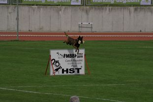 Atas of Hungarian Working Dogs Atas of Hungarian Working Dogs