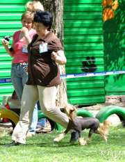 Zholesk Imperial 1 Zholesk Imperial 1