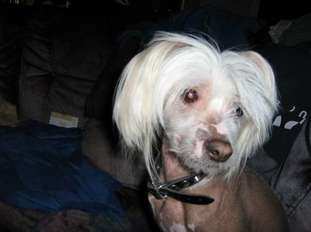 Rosbos Pozzard Rosbos Pozzard