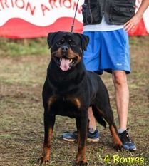 Benno Rott de Rubi Benno Rott de Rubi