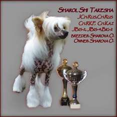 Sharol Shi Takesha Sharol Shi Takesha