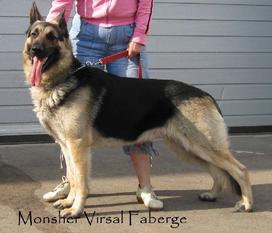 Monsher Virsal Faberge Monsher Virsal Faberge